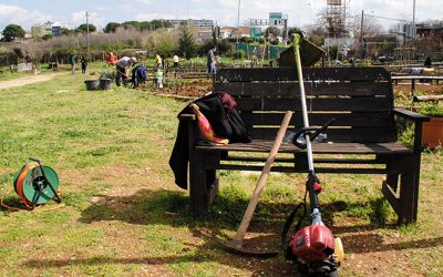 L’esperienza dell’agricoltura urbana, una storia di cittadinanza attiva