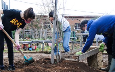 Gli ortisti di Villaggio 95: una nuova comunità