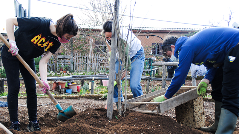 Gli ortisti di Villaggio 95: una nuova comunità