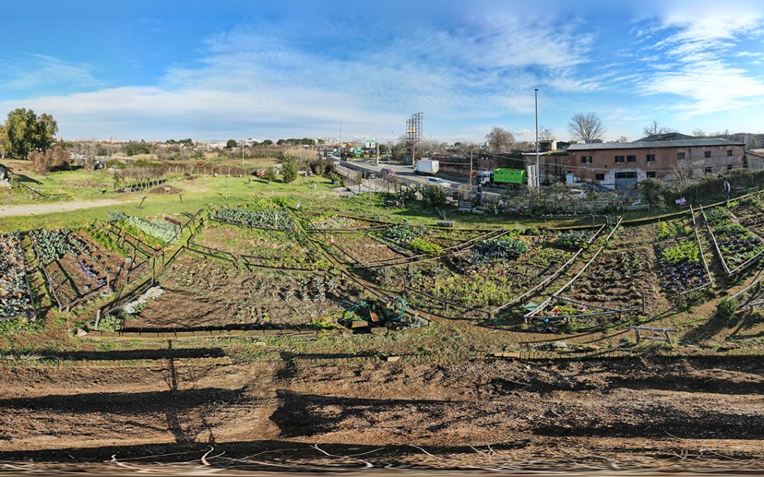 Roma: un orto per tutti al Villaggio 95