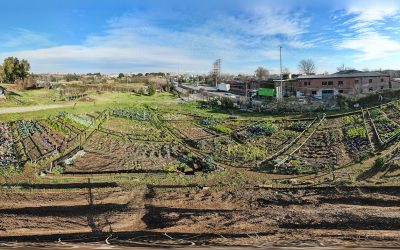 Roma: un orto per tutti al Villaggio 95